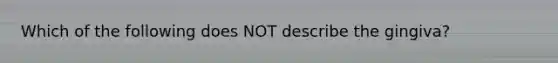 Which of the following does NOT describe the gingiva?