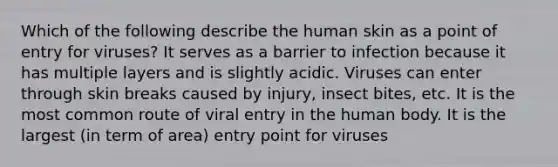 Which of the following describe the human skin as a point of entry for viruses? It serves as a barrier to infection because it has multiple layers and is slightly acidic. Viruses can enter through skin breaks caused by injury, insect bites, etc. It is the most common route of viral entry in the human body. It is the largest (in term of area) entry point for viruses