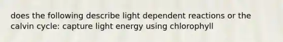 does the following describe light dependent reactions or the calvin cycle: capture light energy using chlorophyll