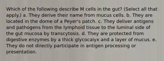 Which of the following describe M cells in the gut? (Select all that apply.) a. They derive their name from mucus cells. b. They are located in the dome of a Peyer's patch. c. They deliver antigens and pathogens from the lymphoid tissue to the luminal side of the gut mucosa by transcytosis. d. They are protected from digestive enzymes by a thick glycocalyx and a layer of mucus. e. They do not directly participate in antigen processing or presentation.