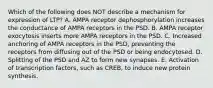 Which of the following does NOT describe a mechanism for expression of LTP? A. AMPA receptor dephosphorylation increases the conductance of AMPA receptors in the PSD. B. AMPA receptor exocytosis inserts more AMPA receptors in the PSD. C. Increased anchoring of AMPA receptors in the PSD, preventing the receptors from diffusing out of the PSD or being endocytosed. D. Splitting of the PSD and AZ to form new synapses. E. Activation of transcription factors, such as CREB, to induce new protein synthesis.