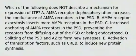 Which of the following does NOT describe a mechanism for expression of LTP? A. AMPA receptor dephosphorylation increases the conductance of AMPA receptors in the PSD. B. AMPA receptor exocytosis inserts more AMPA receptors in the PSD. C. Increased anchoring of AMPA receptors in the PSD, preventing the receptors from diffusing out of the PSD or being endocytosed. D. Splitting of the PSD and AZ to form new synapses. E. Activation of transcription factors, such as CREB, to induce new protein synthesis.