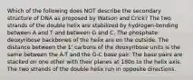 Which of the following does NOT describe the secondary structure of DNA as proposed by Watson and Crick? The two strands of the double helix are stabilized by hydrogen-bonding between A and T and between G and C. The phosphate deoxyribose backbones of the helix are on the outside. The distance between the 1' carbons of the deoxyribose units is the same between the A-T and the G-C base pair. The base pairs are stacked on one other with their planes at 180o to the helix axis. The two strands of the double helix run in opposite directions.