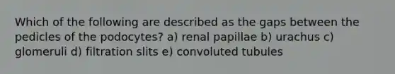 Which of the following are described as the gaps between the pedicles of the podocytes? a) renal papillae b) urachus c) glomeruli d) filtration slits e) convoluted tubules