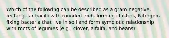 Which of the following can be described as a gram-negative, rectangular bacilli with rounded ends forming clusters, Nitrogen-fixing bacteria that live in soil and form symbiotic relationship with roots of legumes (e.g., clover, alfalfa, and beans)