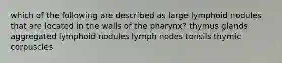 which of the following are described as large lymphoid nodules that are located in the walls of the pharynx? thymus glands aggregated lymphoid nodules lymph nodes tonsils thymic corpuscles