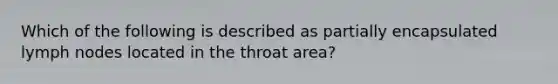 Which of the following is described as partially encapsulated lymph nodes located in the throat area?