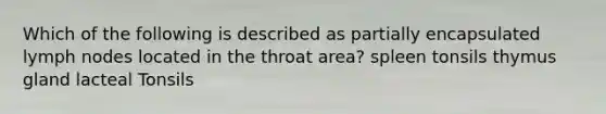 Which of the following is described as partially encapsulated lymph nodes located in the throat area? spleen tonsils thymus gland lacteal Tonsils