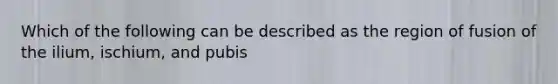 Which of the following can be described as the region of fusion of the ilium, ischium, and pubis