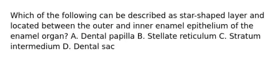 Which of the following can be described as star-shaped layer and located between the outer and inner enamel epithelium of the enamel organ? A. Dental papilla B. Stellate reticulum C. Stratum intermedium D. Dental sac