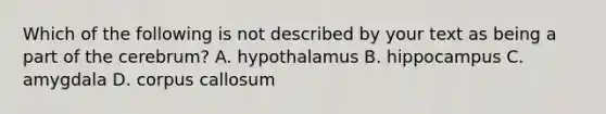 Which of the following is not described by your text as being a part of the cerebrum? A. hypothalamus B. hippocampus C. amygdala D. corpus callosum