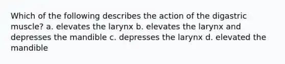 Which of the following describes the action of the digastric muscle? a. elevates the larynx b. elevates the larynx and depresses the mandible c. depresses the larynx d. elevated the mandible