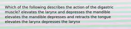 Which of the following describes the action of the digastric muscle? elevates the larynx and depresses the mandible elevates the mandible depresses and retracts the tongue elevates the larynx depresses the larynx