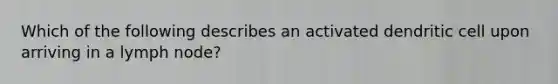 Which of the following describes an activated dendritic cell upon arriving in a lymph node?