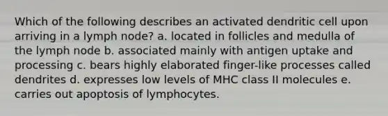 Which of the following describes an activated dendritic cell upon arriving in a lymph node? a. located in follicles and medulla of the lymph node b. associated mainly with antigen uptake and processing c. bears highly elaborated finger-like processes called dendrites d. expresses low levels of MHC class II molecules e. carries out apoptosis of lymphocytes.