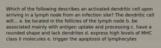 Which of the following describes an activated dendritic cell upon arriving in a lymph node from an infection site? The dendritic cell will... a. be located in the follicles of the lymph node b. be associated mainly with antigen uptake and processing c. have a rounded shape and lack dendrites d. express high levels of MHC class II molecules e. trigger the apoptosis of lymphocytes