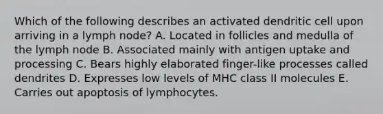 Which of the following describes an activated dendritic cell upon arriving in a lymph node? A. Located in follicles and medulla of the lymph node B. Associated mainly with antigen uptake and processing C. Bears highly elaborated finger-like processes called dendrites D. Expresses low levels of MHC class II molecules E. Carries out apoptosis of lymphocytes.