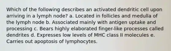 Which of the following describes an activated dendritic cell upon arriving in a lymph node? a. Located in follicles and medulla of the lymph node b. Associated mainly with antigen uptake and processing c. Bears highly elaborated finger-like processes called dendrites d. Expresses low levels of MHC class II molecules e. Carries out apoptosis of lymphocytes.