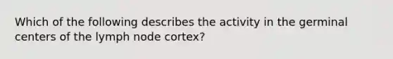 Which of the following describes the activity in the germinal centers of the lymph node cortex?