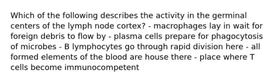 Which of the following describes the activity in the germinal centers of the lymph node cortex? - macrophages lay in wait for foreign debris to flow by - plasma cells prepare for phagocytosis of microbes - B lymphocytes go through rapid division here - all formed elements of the blood are house there - place where T cells become immunocompetent