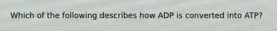 Which of the following describes how ADP is converted into ATP?