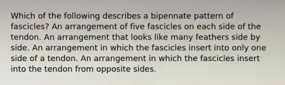 Which of the following describes a bipennate pattern of fascicles? An arrangement of five fascicles on each side of the tendon. An arrangement that looks like many feathers side by side. An arrangement in which the fascicles insert into only one side of a tendon. An arrangement in which the fascicles insert into the tendon from opposite sides.