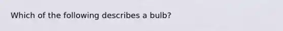 Which of the following describes a bulb?