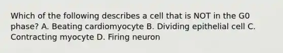 Which of the following describes a cell that is NOT in the G0 phase? A. Beating cardiomyocyte B. Dividing epithelial cell C. Contracting myocyte D. Firing neuron