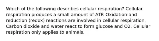 Which of the following describes cellular respiration? Cellular respiration produces a small amount of ATP. Oxidation and reduction (redox) reactions are involved in cellular respiration. Carbon dioxide and water react to form glucose and O2. Cellular respiration only applies to animals.