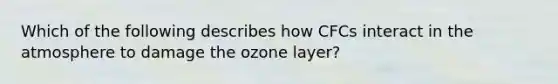 Which of the following describes how CFCs interact in the atmosphere to damage the ozone layer?