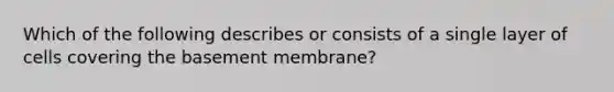 Which of the following describes or consists of a single layer of cells covering the basement membrane?