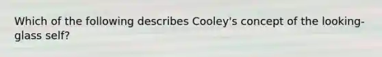 Which of the following describes Cooley's concept of the looking-glass self?