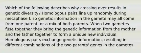 Which of the following describes why crossing over results in genetic diversity? Homologous pairs line up randomly during metaphase I, so genetic information in the gamete may all come from one parent, or a mix of both parents. When two gametes fuse together they bring the genetic information from the mother and the father together to form a unique new individual. Homologous pairs exchange genetic information, resulting in different combinations of the two parents' genes in the gametes.