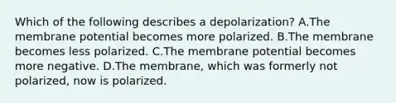 Which of the following describes a depolarization? A.The membrane potential becomes more polarized. B.The membrane becomes less polarized. C.The membrane potential becomes more negative. D.The membrane, which was formerly not polarized, now is polarized.