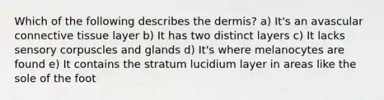 Which of the following describes the dermis? a) It's an avascular connective tissue layer b) It has two distinct layers c) It lacks sensory corpuscles and glands d) It's where melanocytes are found e) It contains the stratum lucidium layer in areas like the sole of the foot