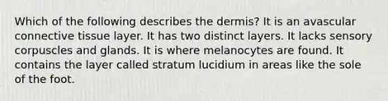 Which of the following describes the dermis? It is an avascular connective tissue layer. It has two distinct layers. It lacks sensory corpuscles and glands. It is where melanocytes are found. It contains the layer called stratum lucidium in areas like the sole of the foot.