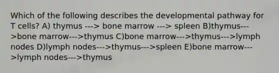 Which of the following describes the developmental pathway for T cells? A) thymus ---> bone marrow ---> spleen B)thymus--->bone marrow--->thymus C)bone marrow--->thymus--->lymph nodes D)lymph nodes--->thymus--->spleen E)bone marrow--->lymph nodes--->thymus