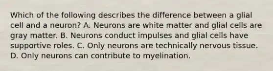 Which of the following describes the difference between a glial cell and a neuron? A. Neurons are white matter and glial cells are gray matter. B. Neurons conduct impulses and glial cells have supportive roles. C. Only neurons are technically nervous tissue. D. Only neurons can contribute to myelination.