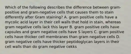 Which of the following describes the difference between gram-positive and gram-negative cells that causes them to stain differently after Gram staining? A. gram positive cells have a mycolic acid layer in their cell walls that hold in stain, whereas gram negative cells lack this layer B. gram positive cells have capsules and gram negative cells have S layers C. gram positive cells have thicker cell membranes than gram negative cells D. gram negative cells have thicker peptidoglycan layers in their cell walls than do gram negative cekks