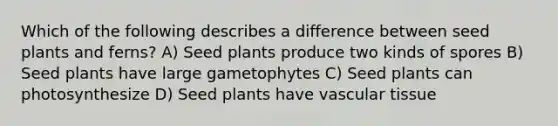 Which of the following describes a difference between seed plants and ferns? A) Seed plants produce two kinds of spores B) Seed plants have large gametophytes C) Seed plants can photosynthesize D) Seed plants have <a href='https://www.questionai.com/knowledge/k1HVFq17mo-vascular-tissue' class='anchor-knowledge'>vascular tissue</a>