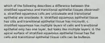 which of the following describes a difference between the stratified squamous and transitional epithelial tissues observed? a. stratified squamous cells are uniculeate and transitional epithelial are anucleate. b. stratified squamous epithelial tissue has cilia and transitional epithelial tissue has microvilli. c. stratified squamous has multiple layers of cells and transitional epithelial only has one layer, but looks like multiple layers. d. the apical surface of stratified squamous epithelial tissue has flat cells and transitional epithelial tissue cells can be bulbous.