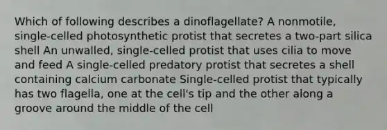 Which of following describes a dinoflagellate? A nonmotile, single-celled photosynthetic protist that secretes a two-part silica shell An unwalled, single-celled protist that uses cilia to move and feed A single-celled predatory protist that secretes a shell containing calcium carbonate Single-celled protist that typically has two flagella, one at the cell's tip and the other along a groove around the middle of the cell