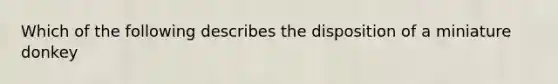 Which of the following describes the disposition of a miniature donkey