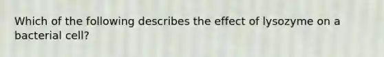 Which of the following describes the effect of lysozyme on a bacterial cell?