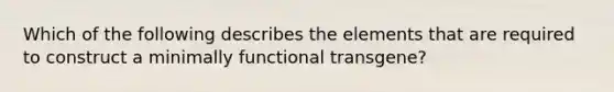 Which of the following describes the elements that are required to construct a minimally functional transgene?