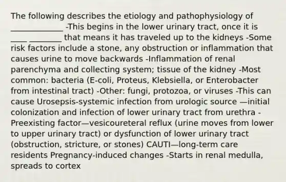 The following describes the etiology and pathophysiology of _____________ -This begins in the lower urinary tract, once it is ____ ________ that means it has traveled up to the kidneys -Some risk factors include a stone, any obstruction or inflammation that causes urine to move backwards -Inflammation of renal parenchyma and collecting system; tissue of the kidney -Most common: bacteria (E-coli, Proteus, Klebsiella, or Enterobacter from intestinal tract) -Other: fungi, protozoa, or viruses -This can cause Urosepsis-systemic infection from urologic source —initial colonization and infection of lower urinary tract from urethra -Preexisting factor—vesicoureteral reflux (urine moves from lower to upper urinary tract) or dysfunction of lower urinary tract (obstruction, stricture, or stones) CAUTI—long-term care residents Pregnancy-induced changes -Starts in renal medulla, spreads to cortex