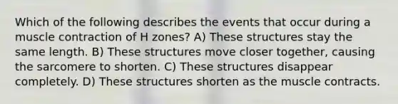 Which of the following describes the events that occur during a muscle contraction of H zones? A) These structures stay the same length. B) These structures move closer together, causing the sarcomere to shorten. C) These structures disappear completely. D) These structures shorten as the muscle contracts.