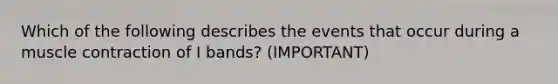 Which of the following describes the events that occur during a muscle contraction of I bands? (IMPORTANT)