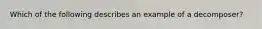 Which of the following describes an example of a decomposer?