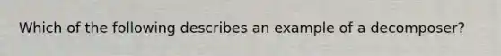 Which of the following describes an example of a decomposer?